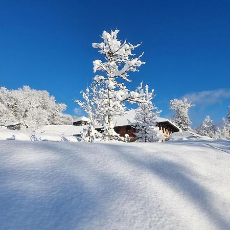 Bed and Breakfast Le Refuge Du Montagnard Marthod Exterior foto