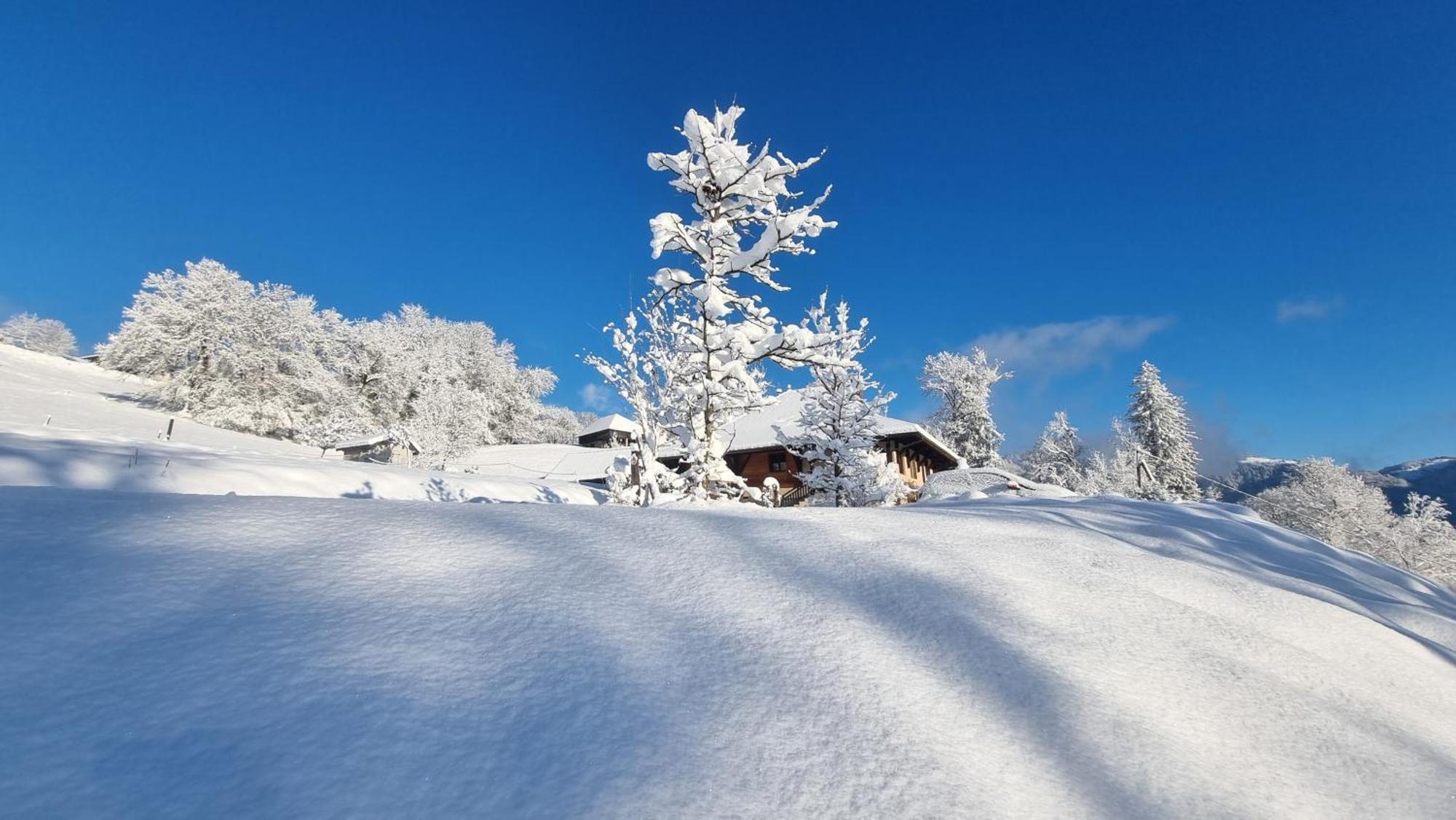 Bed and Breakfast Le Refuge Du Montagnard Marthod Exterior foto